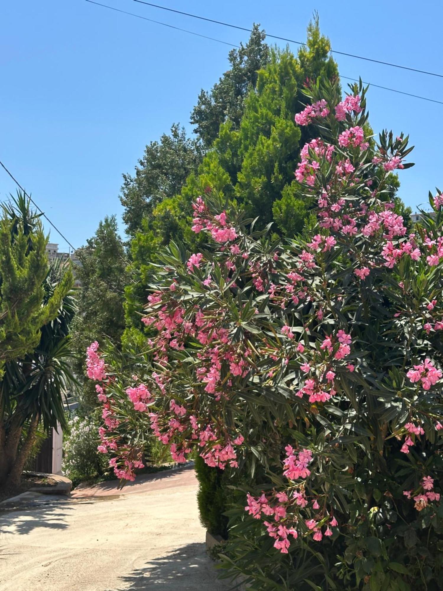 Panoramic Views Of Saranda Διαμέρισμα Εξωτερικό φωτογραφία